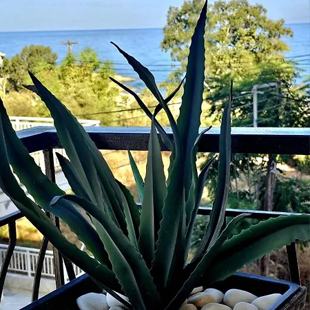 Lejlighed Chistina's Brand New *